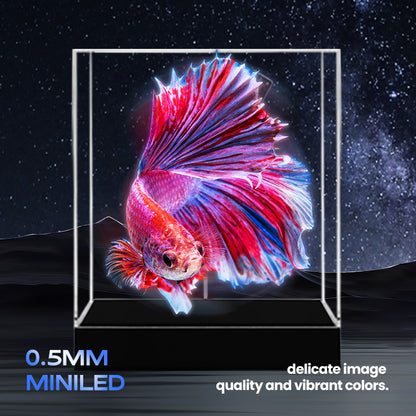 3D high-definition focusing high-resolution hologram, one-click video generation