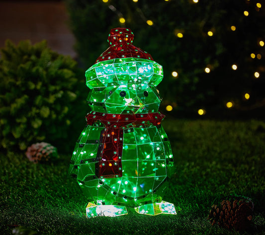 ShWk8/25 Kringle Express Indoor/Outdoor Holographic Icon w/Remote