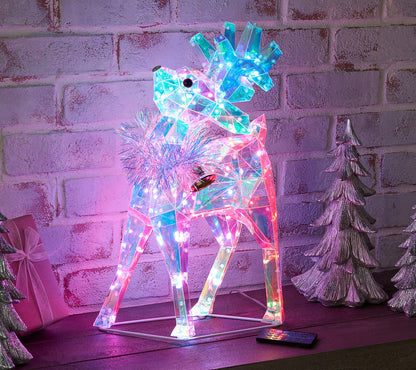 ShWk8/25 Kringle Express Indoor/Outdoor Holographic Icon w/Remote